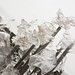 Martin Blank Photo 35