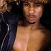 Randy Light Photo 29
