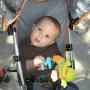 Sarah Dorr Photo 12