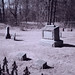 Susan Crouch Photo 16