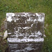 Ann Dungan Photo 8