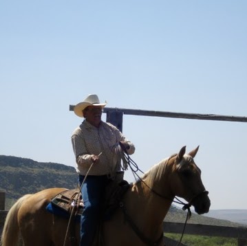Mark Mcguire Photo 41