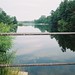 Howard Mills Photo 36