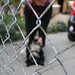 Diane Ogden Photo 42