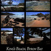Byron King Photo 17
