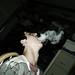 Cody Arnold Photo 15