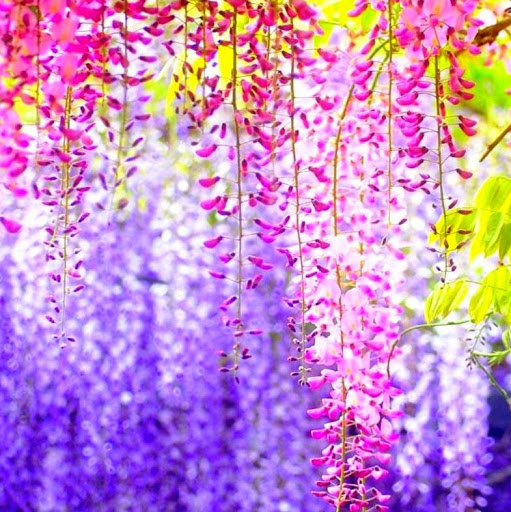 Heather Dyer Photo 11