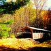 Carl Mcdaniel Photo 19