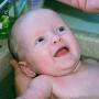 Laurie Lentz Photo 25