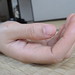 Donna Hands Photo 6