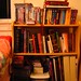 Deb Engle Photo 17