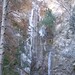 Glenn Gabriel Photo 15