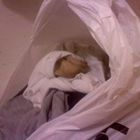 Heather Embree Photo 8