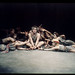 Steven Ferrell Photo 40