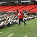 Stephen Cribb Photo 13