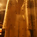 Barbara Coats Photo 10