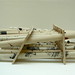 Lesley Anderson Photo 7
