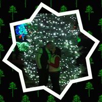 Darlene Curtis Photo 14