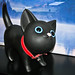 Kitty Banks Photo 12