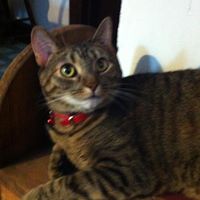 Darlene Wheeler Photo 35