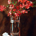 Deborah Lazar Photo 17