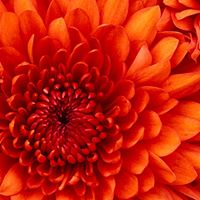 Beth Foster Photo 32