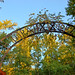 Beth Richmond Photo 17