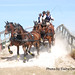 Josh Rector Photo 43
