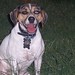 Jackie Shepherd Photo 32