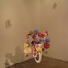 David Osbourn Photo 15