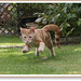 Ted Hoover Photo 12