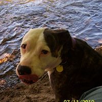 Tammy Schilling Photo 11