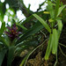 Mark Phipps Photo 32