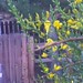 Janine Caldwell Photo 24