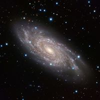 Mark Deming Photo 36