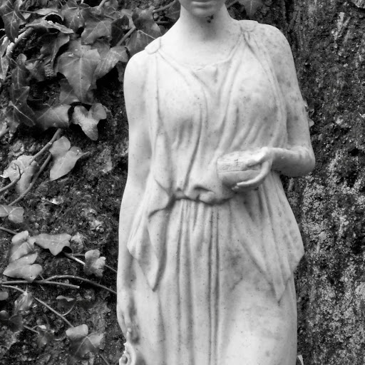 Anne Sutton Photo 36