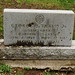 George Travis Photo 12