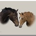 Dave Sommer Photo 24