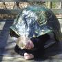Michael Riddle Photo 45