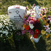 Kevin Adams Photo 16