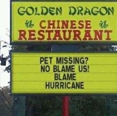 Sheryl Graham Photo 13