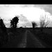 Ruthann Grey Photo 8