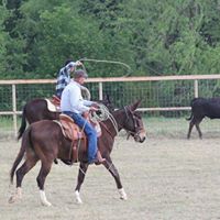 David Hutchison Photo 27