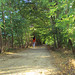 Donna Estrada Photo 17