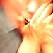 Joy Beyer Photo 3
