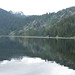 Dorothy Camp Photo 13