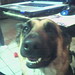 Portia Shepherd Photo 7