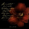 Annette James Photo 29