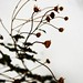 Gerard Sharp Photo 7