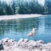 Cory Lake Photo 5